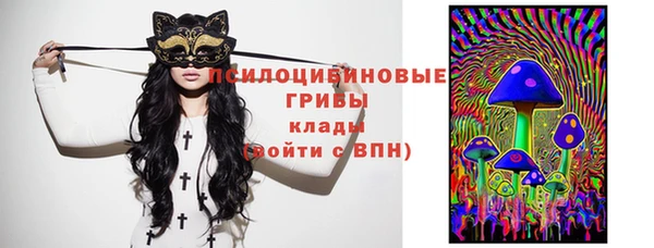 сатива Алексеевка