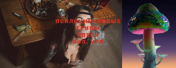 сатива Алексеевка