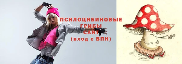 ECSTASY Алексин