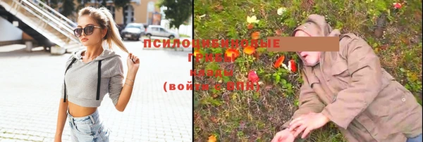 ECSTASY Алексин