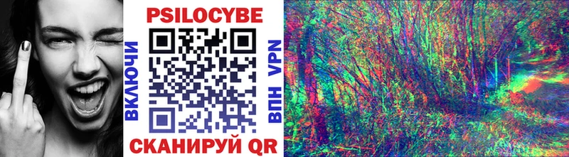 Галлюциногенные грибы GOLDEN TEACHER Егорьевск